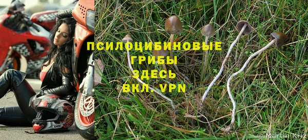 мяу мяу мука Алексин