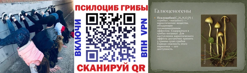 купить наркотик  Чебоксары  Галлюциногенные грибы GOLDEN TEACHER 